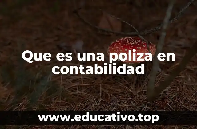 Que es una poliza en contabilidad