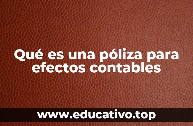 Qué es una póliza para efectos contables