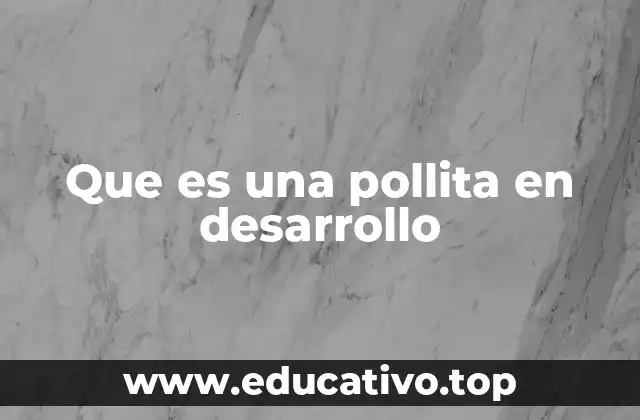 Que es una pollita en desarrollo