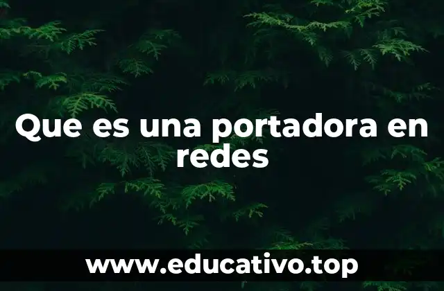 Que es una portadora en redes