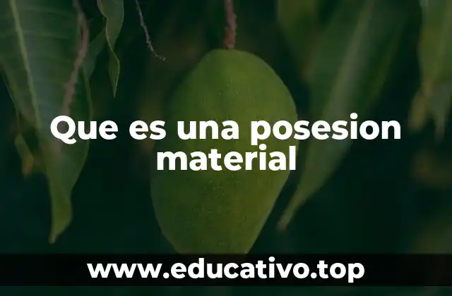 Que es una posesion material