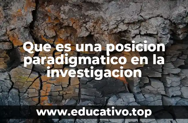 Que es una posicion paradigmatico en la investigacion