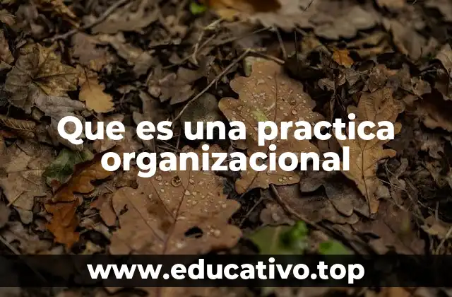 Que es una practica organizacional