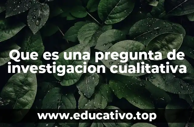 Que es una pregunta de investigacion cualitativa