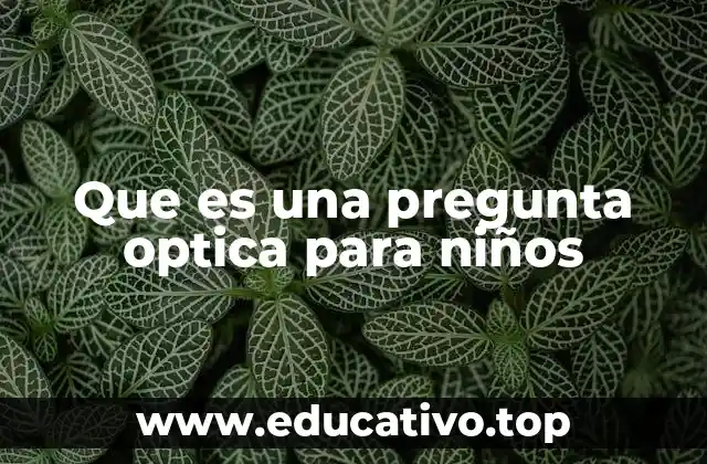 Que es una pregunta optica para niños
