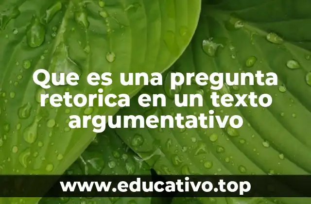El poder de la pregunta retórica en la persuasión textual