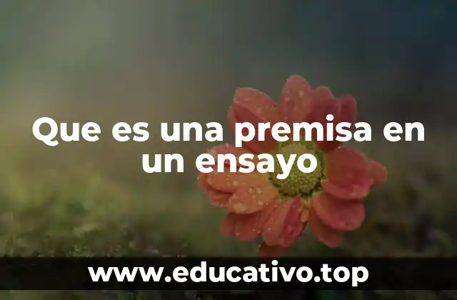 Que es una premisa en un ensayo