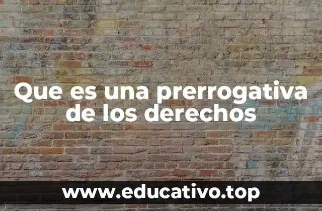 Que es una prerrogativa de los derechos