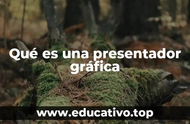 Qué es una presentador gráfica