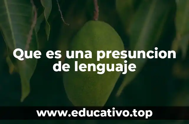 Que es una presuncion de lenguaje