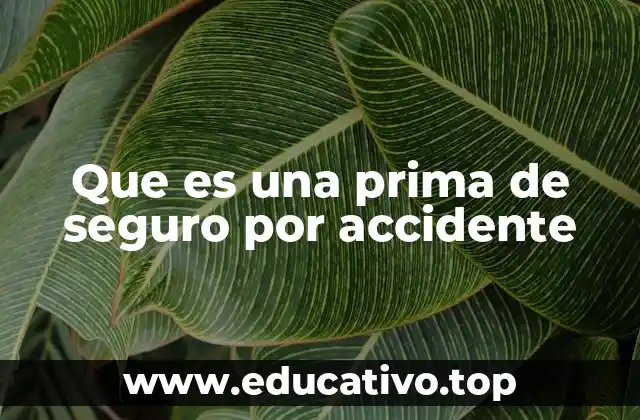 Que es una prima de seguro por accidente