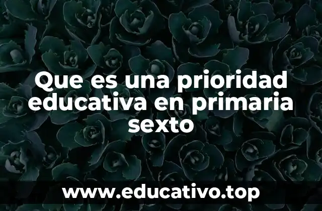 Que es una prioridad educativa en primaria sexto
