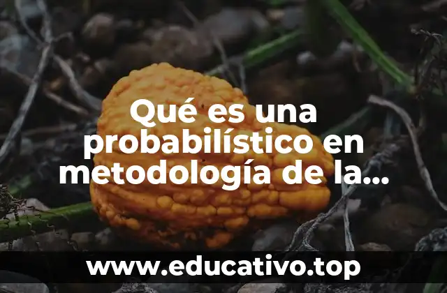 Qué es una probabilístico en metodología de la investigación