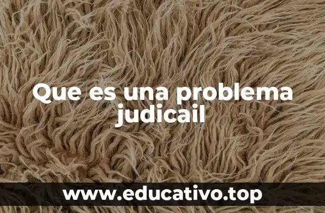 Que es una problema judicail
