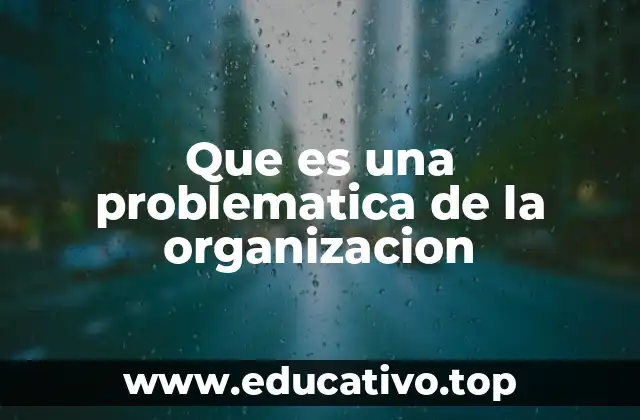 Que es una problematica de la organizacion