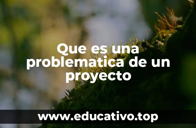 Que es una problematica de un proyecto