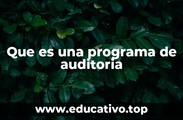 Que es una programa de auditoria