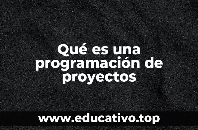 Qué es una programación de proyectos