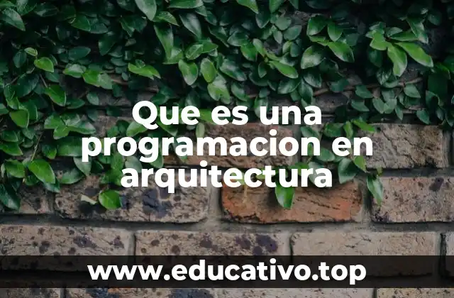 Que es una programacion en arquitectura