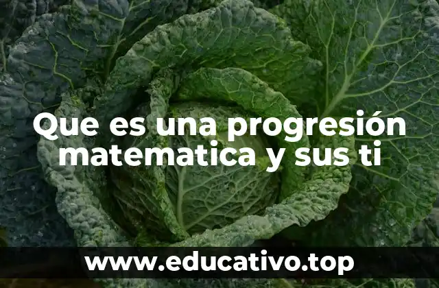 Que es una progresión matematica y sus ti