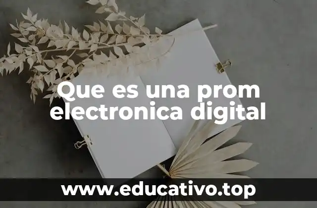 Que es una prom electronica digital