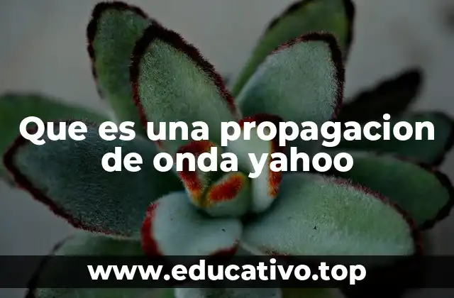 Que es una propagacion de onda yahoo