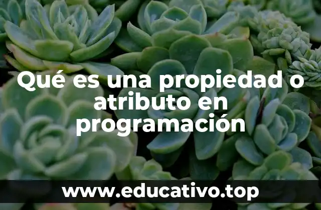 Qué es una propiedad o atributo en programación