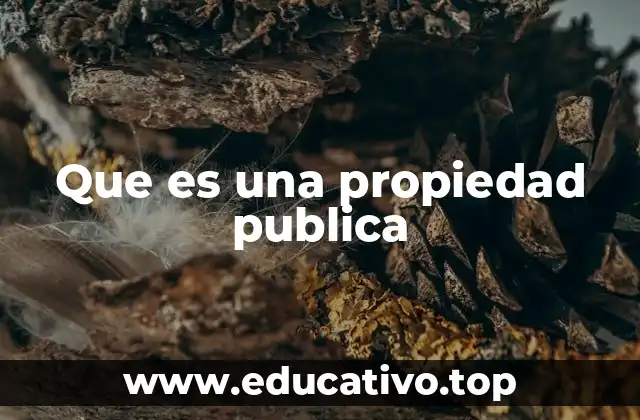 Que es una propiedad publica