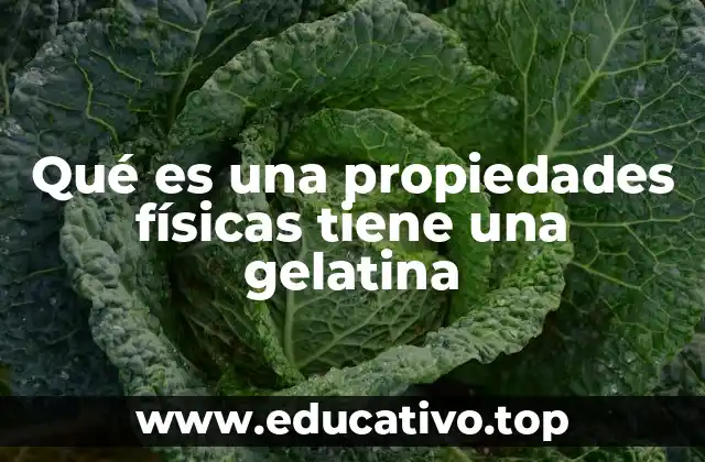 Qué es una propiedades físicas tiene una gelatina