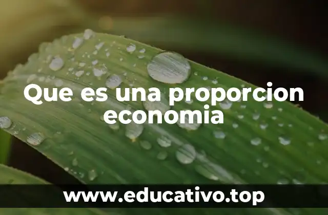 Que es una proporcion economia