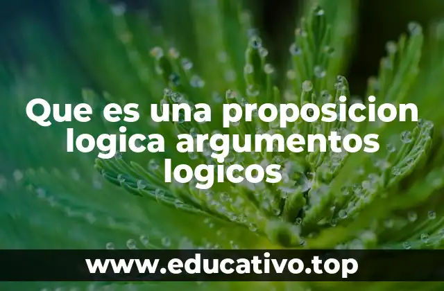 Que es una proposicion logica argumentos logicos