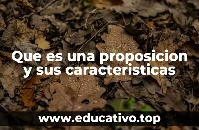 Que es una proposicion y sus caracteristicas