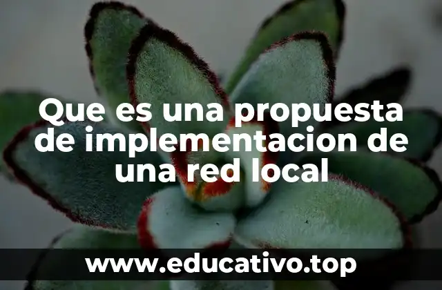Que es una propuesta de implementacion de una red local