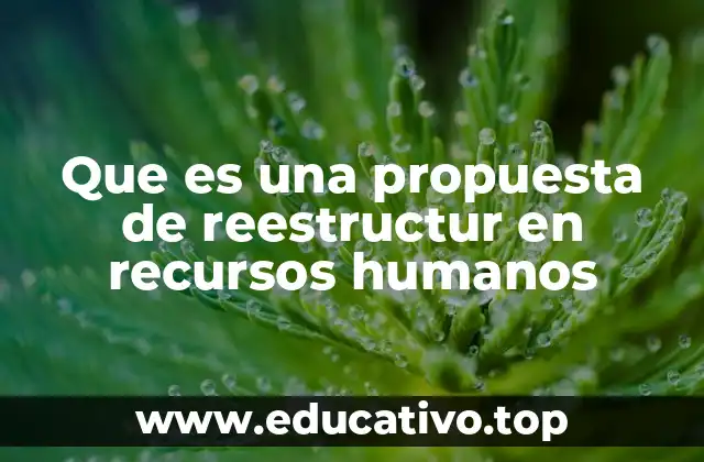 Que es una propuesta de reestructur en recursos humanos