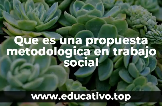 Que es una propuesta metodologica en trabajo social
