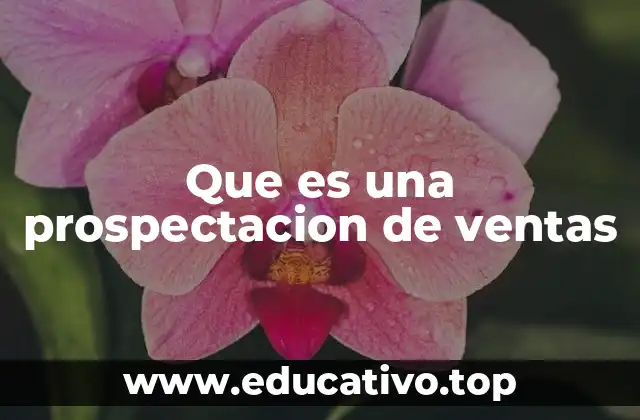 Que es una prospectacion de ventas