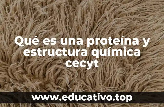 Qué es una proteína y estructura química cecyt