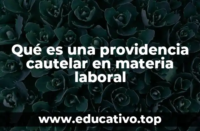 Qué es una providencia cautelar en materia laboral