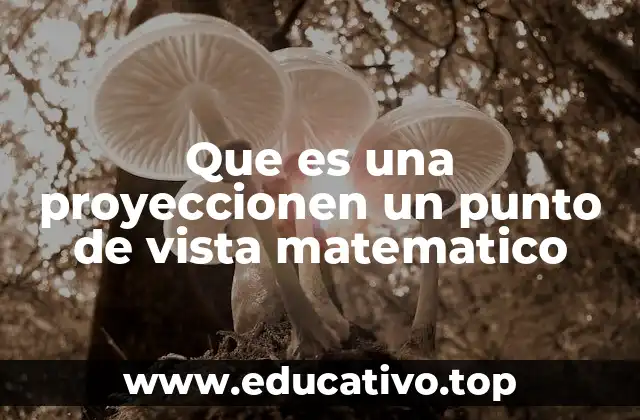 La proyección como herramienta para representar espacios geométricos