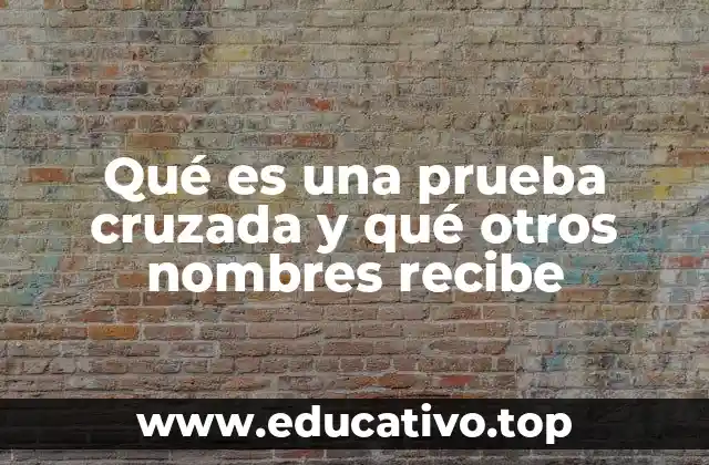 El papel de la prueba cruzada en la defensa y la acusación