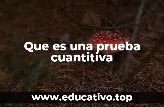 Que es una prueba cuantitiva