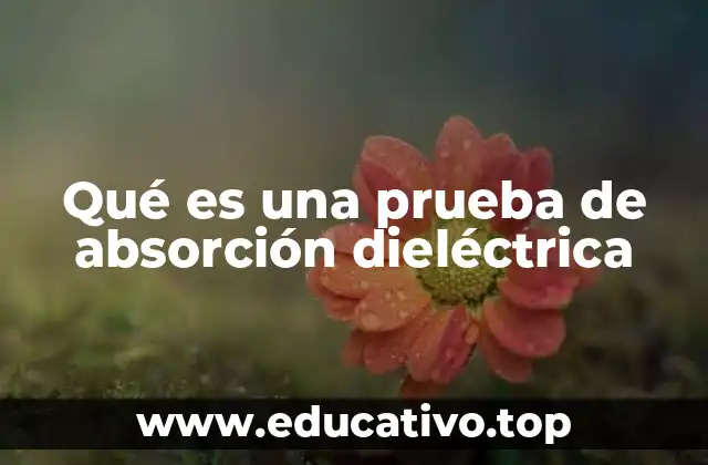 Qué es una prueba de absorción dieléctrica