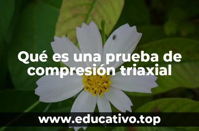 Qué es una prueba de compresión triaxial