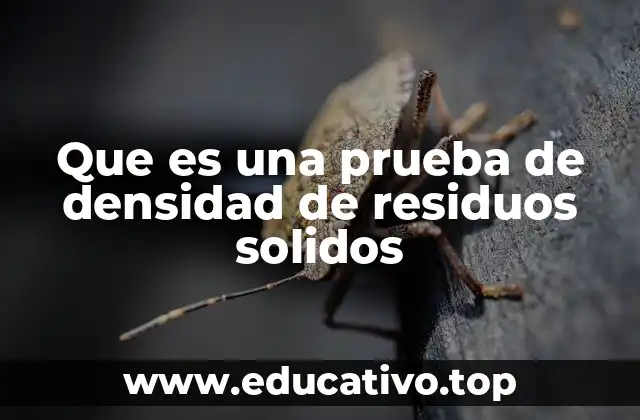 Que es una prueba de densidad de residuos solidos