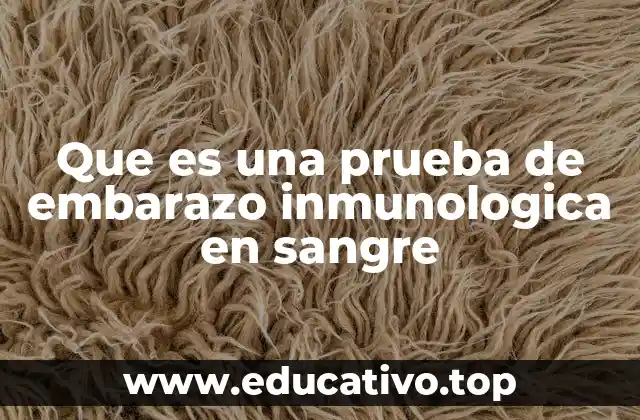 Que es una prueba de embarazo inmunologica en sangre
