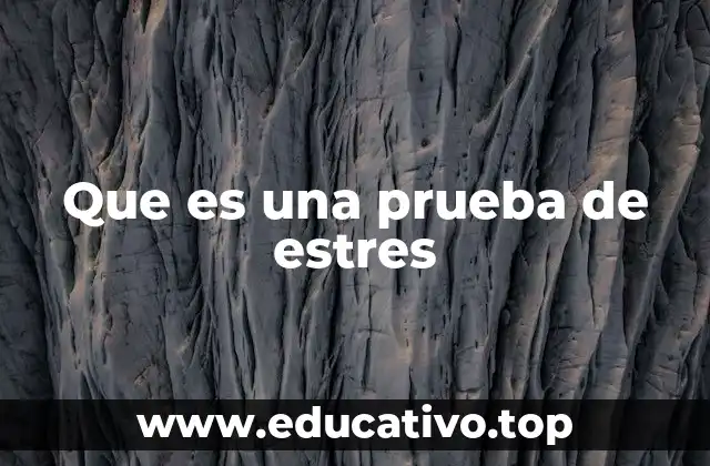Que es una prueba de estres