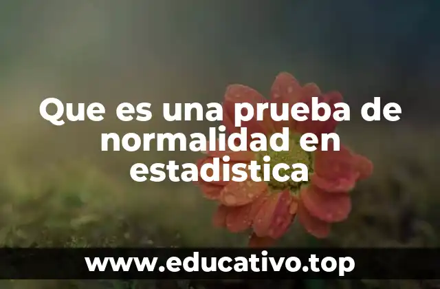 Que es una prueba de normalidad en estadistica