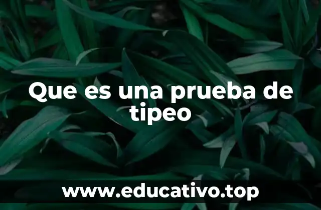 Que es una prueba de tipeo