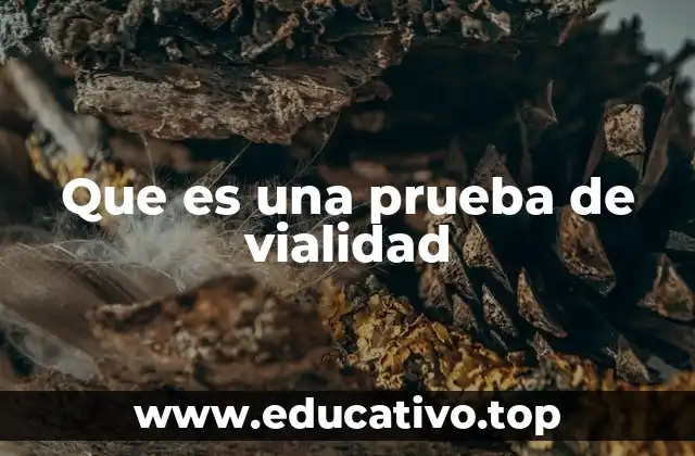 Que es una prueba de vialidad