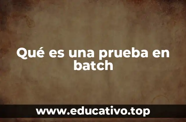 Qué es una prueba en batch